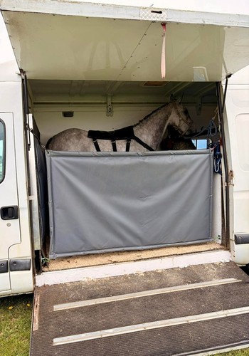 Horse box partition barrier - horse,