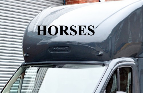 Horse box lettering - lettering, vinyl