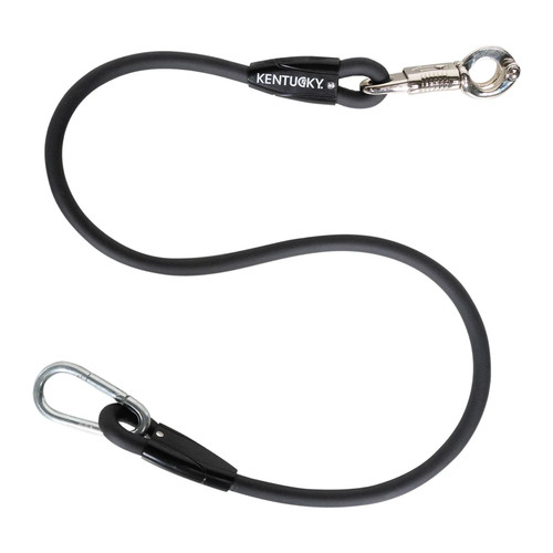 Kentucky horse box lead and - horse,