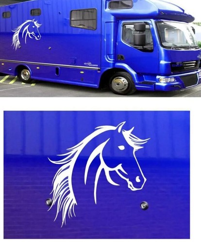 Horse box graphics 70cm x - box,